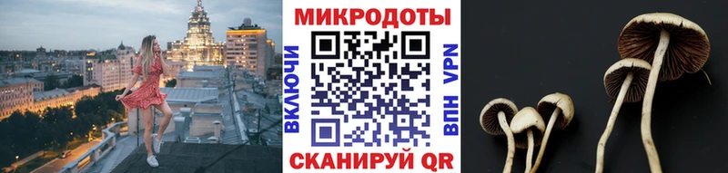Галлюциногенные грибы ЛСД  где можно купить наркотик  Дзержинский 
