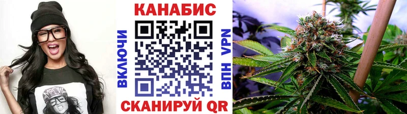 дарнет шоп  ссылка на мегу сайт  Бошки марихуана SATIVA & INDICA  Дзержинский 